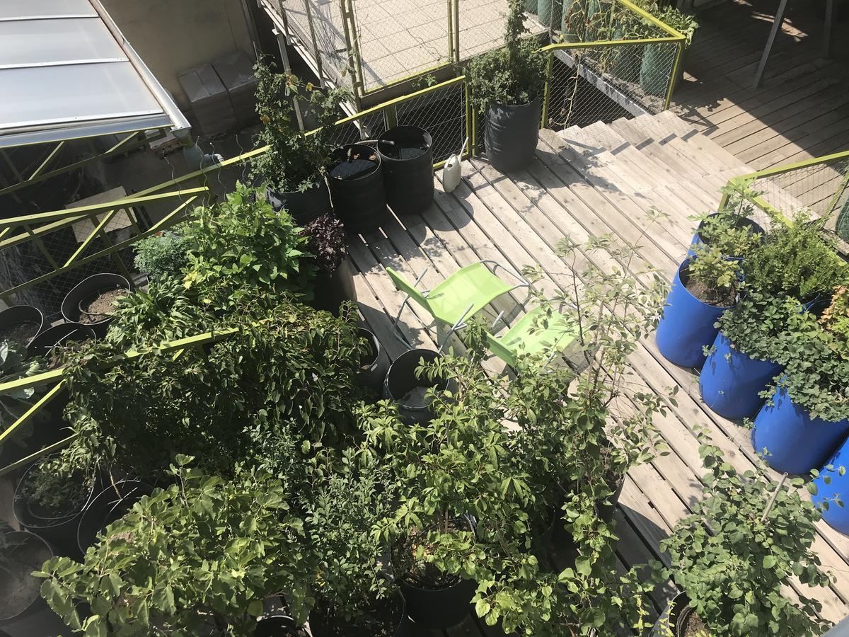 Wiener Gäste Zimmer Exterior foto